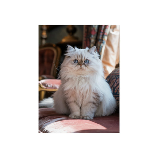 Elegant Cat