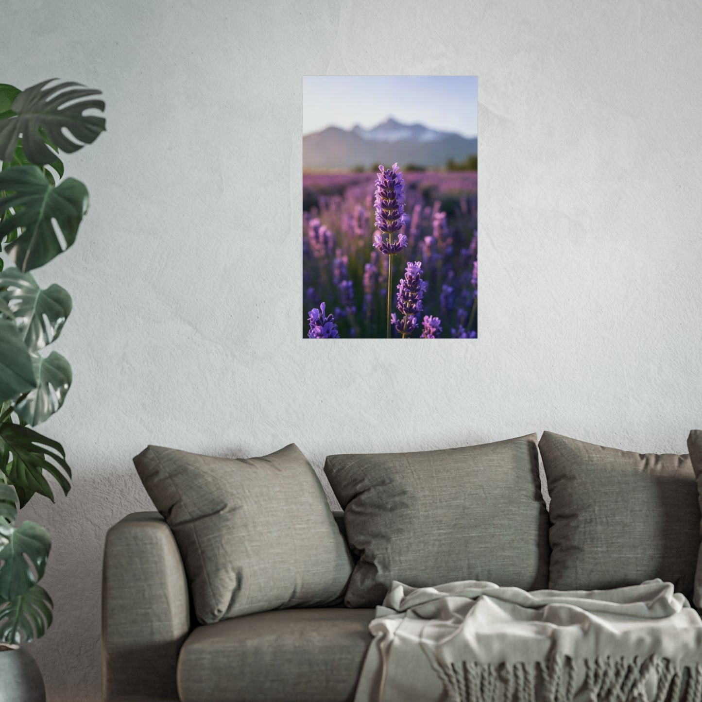 Lavender Field