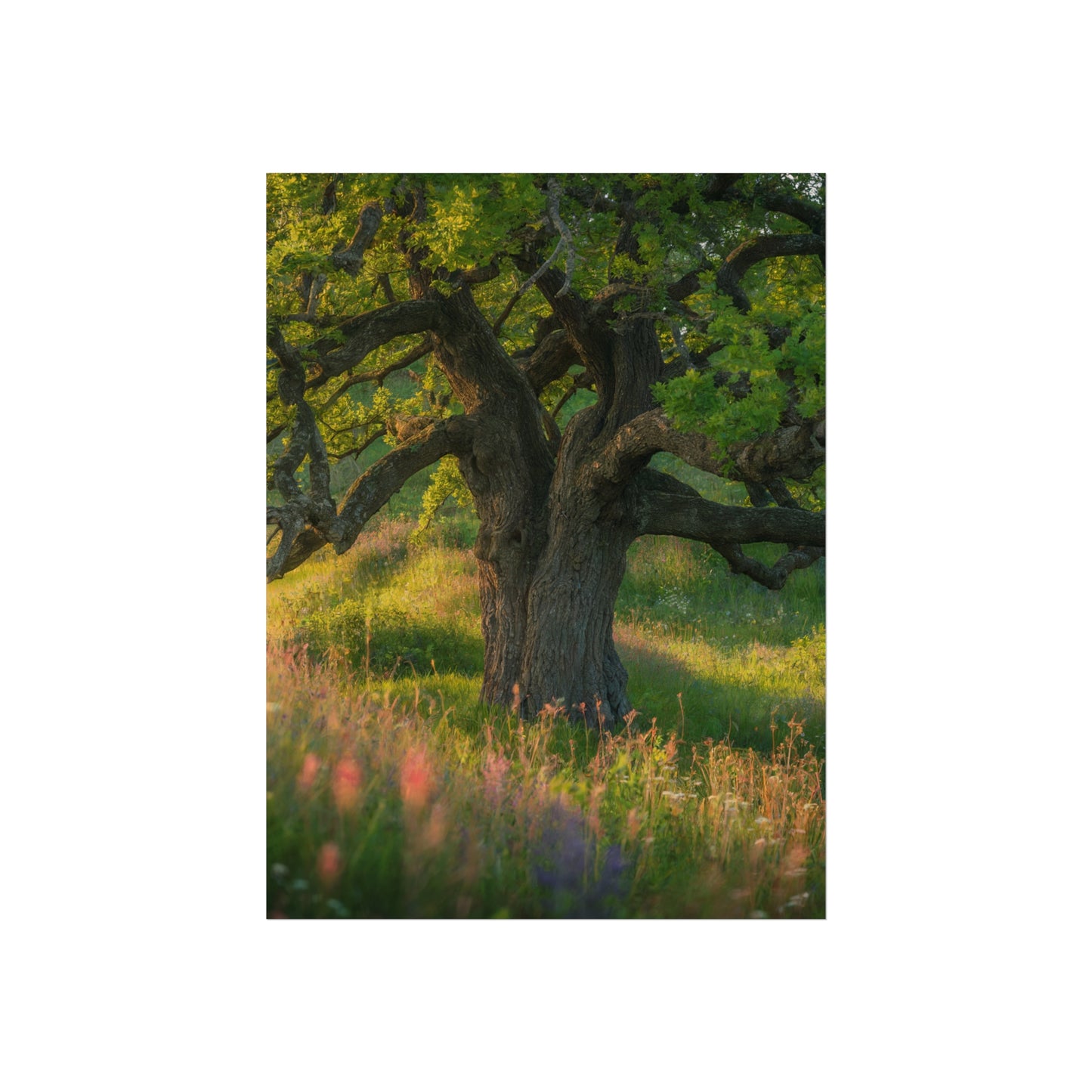Flowery tree