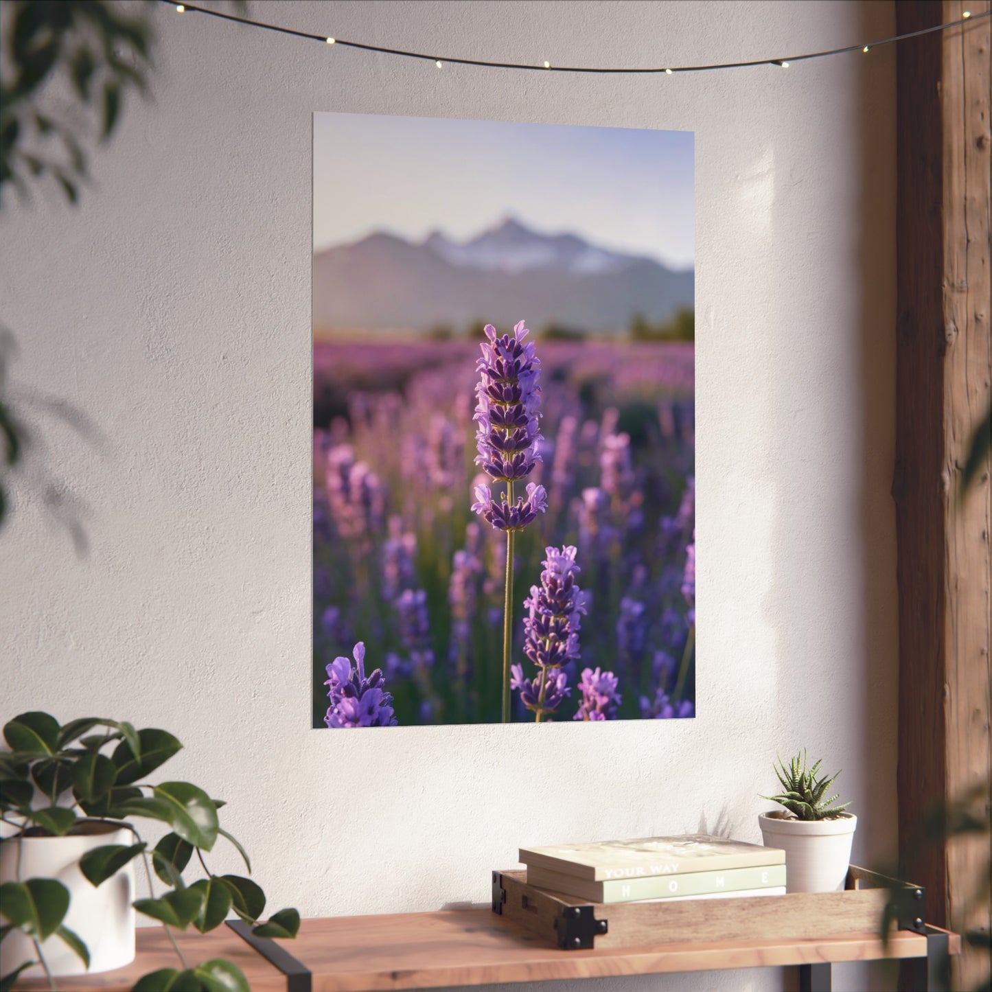 Lavender Field